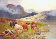 oswald highland cattle scotland