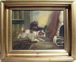 cassell-terriers-ratting