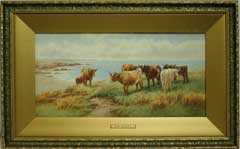 Rowden cattle Lyme Bay